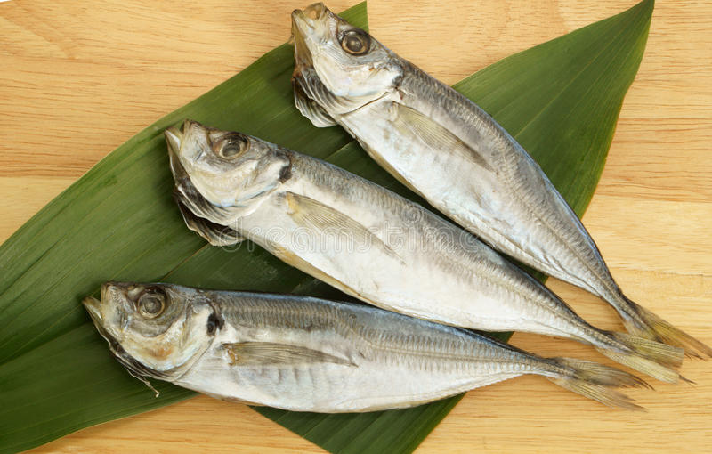 MACKEREL DRIED
