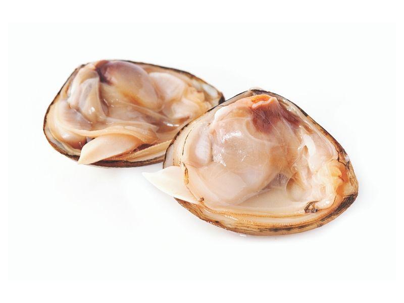 CLAM WITH SHELL FROZEN