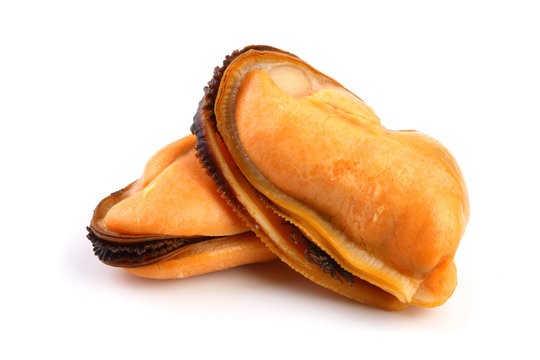 MUSSEL WITHOUT SHELL