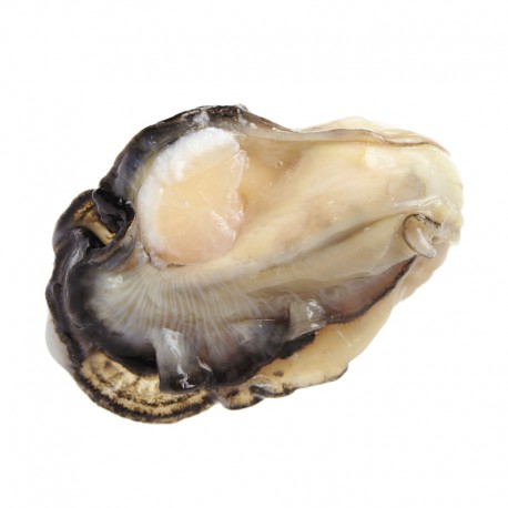 OYSTER WO SHELL FROZEN