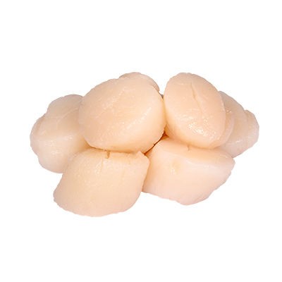 SCALLOP FROZEN