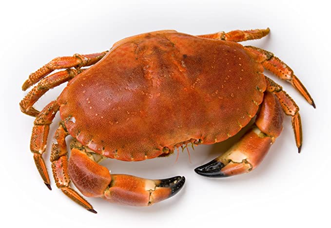CRAB WHOLE FROZEN