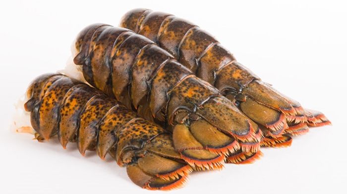 LOBSTER TAIL FROZEN