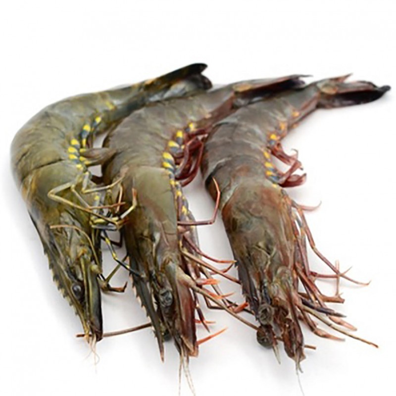 PRAWN WHOLE FROZEN