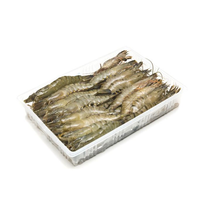 SHRIMP WHOLE FROZEN