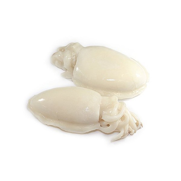 SQUID (CUTTLE-FISH) FROZEN