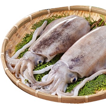 INK FISH FROZEN