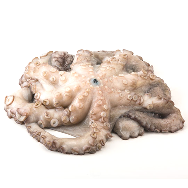 OCTOPUS LARGE FROZEN
