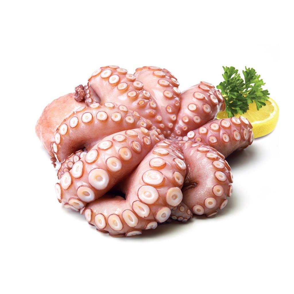 OCTOPUS BOILED FROZEN