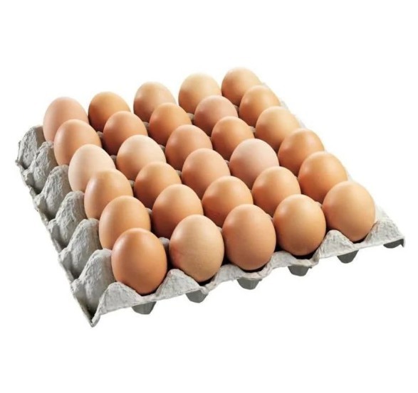 EGG FRESH LARGE