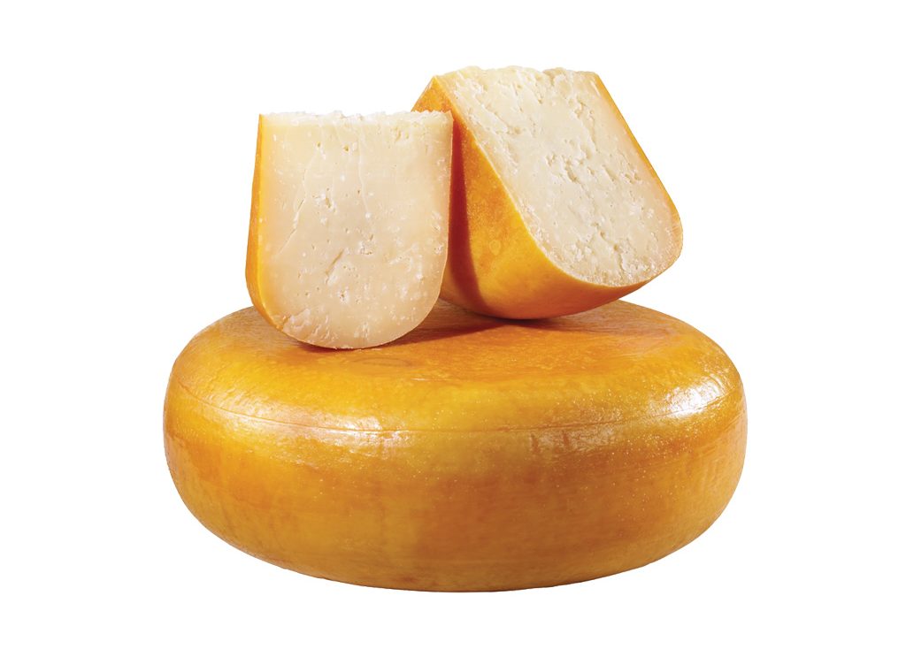 CHEESE GOUDA