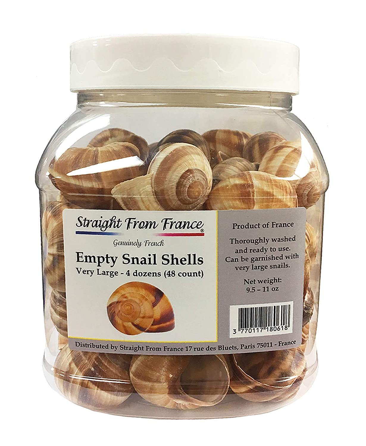 ESCARGOT WITH SHELL IN PLASTIC