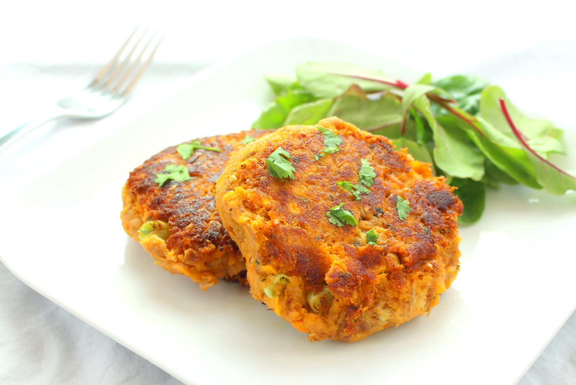 FISH CAKE TINNED