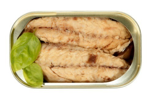 MACKEREL IN OIL