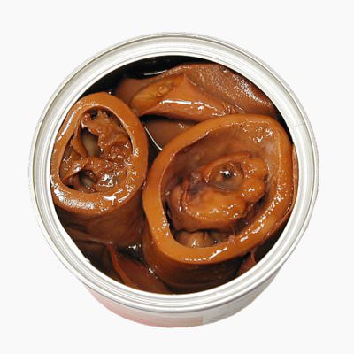SQUID SEASONED