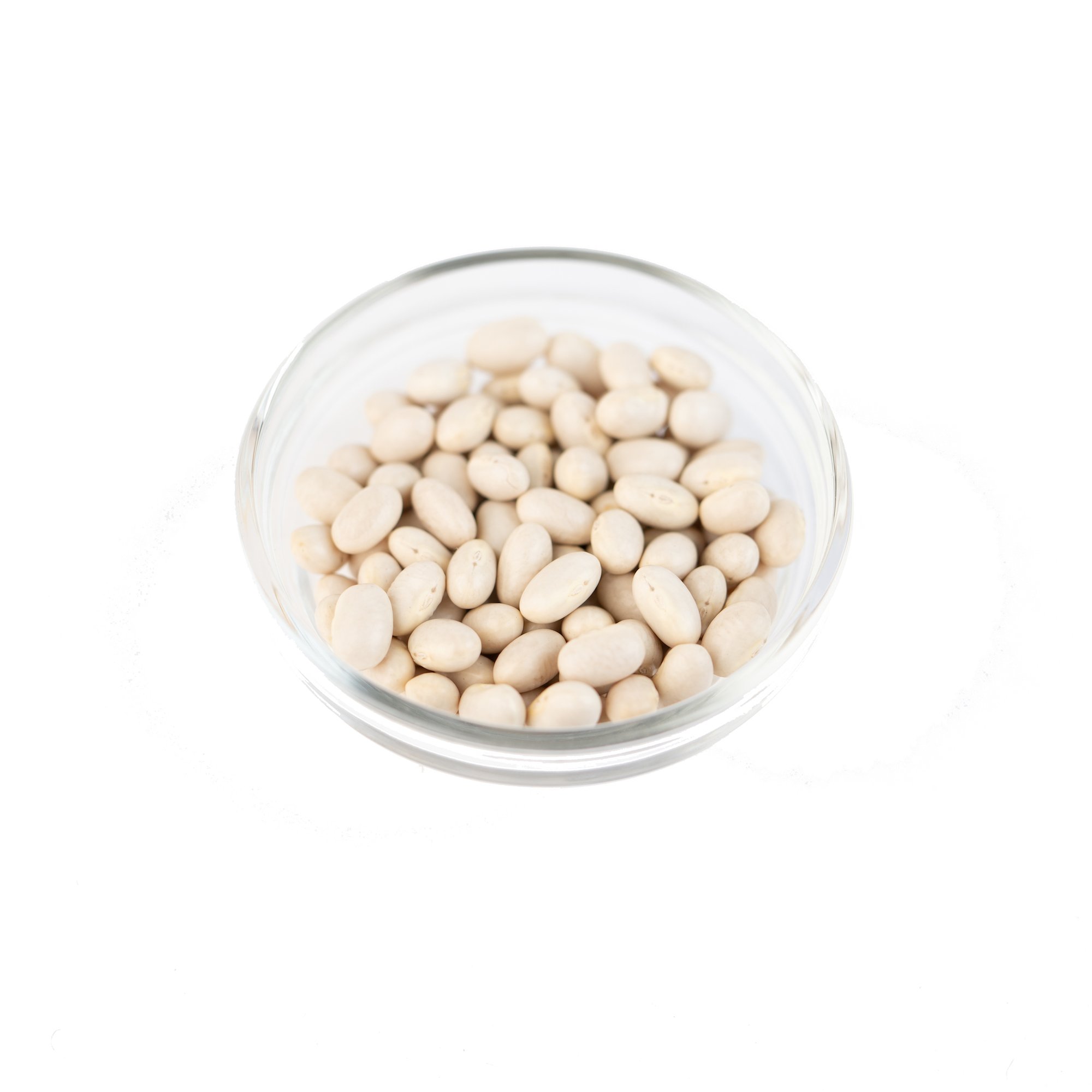 BEANS WHITE DRY KOTEBO