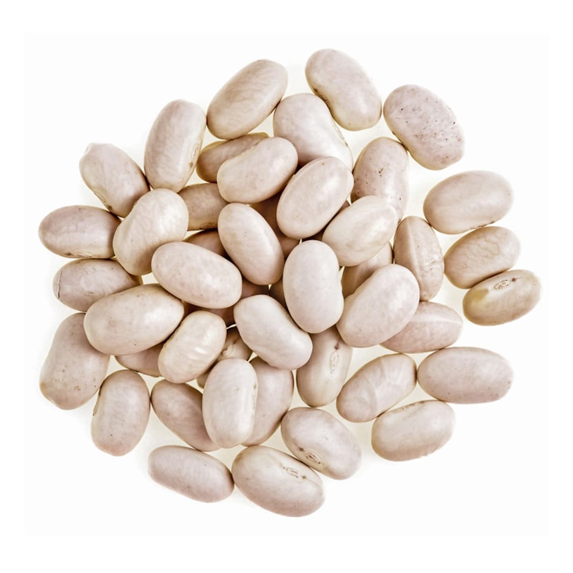 BEANS WHITE LARGE DRY