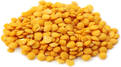 DHAL TOOR