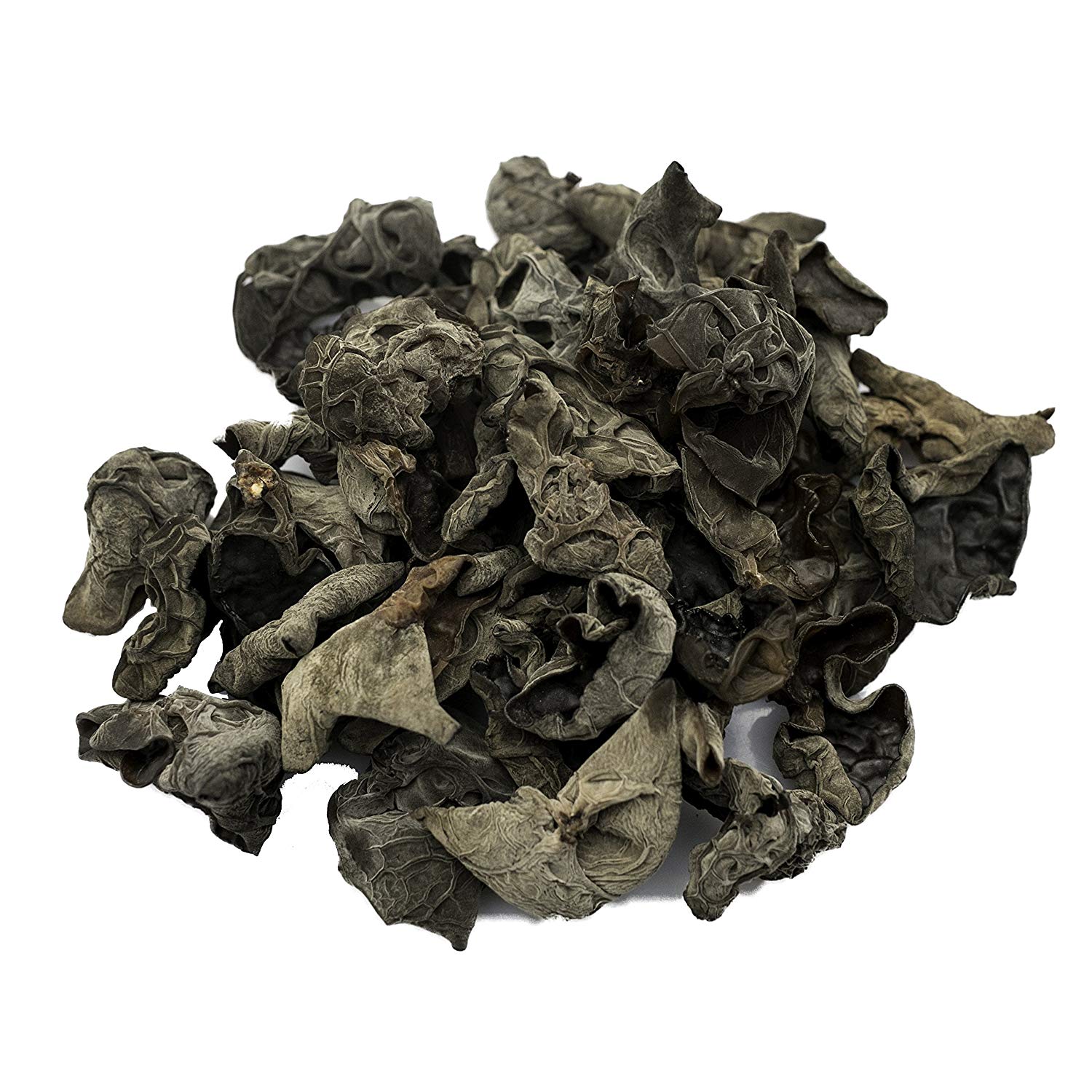 FUNGUS DRIED