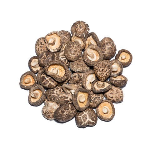 MUSHROOM DRIED