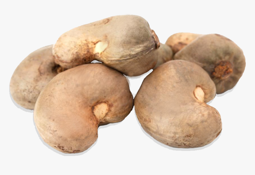 CASHEW NUTS SHELLED