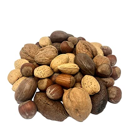 MIXED NUTS WITH SHELL