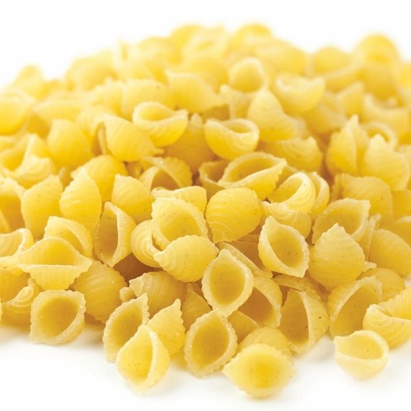 MACARONI SHELL BULK