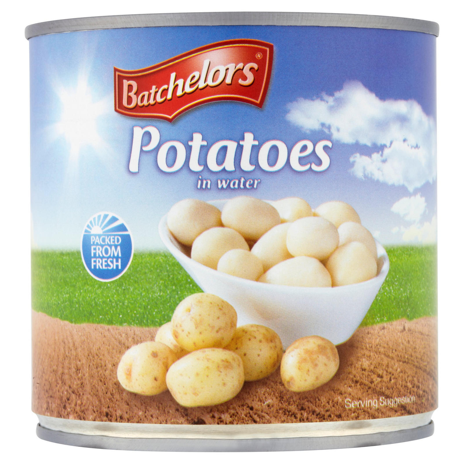 POTATO INSTANT #10 TINNED