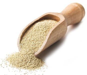 YEAST DRY