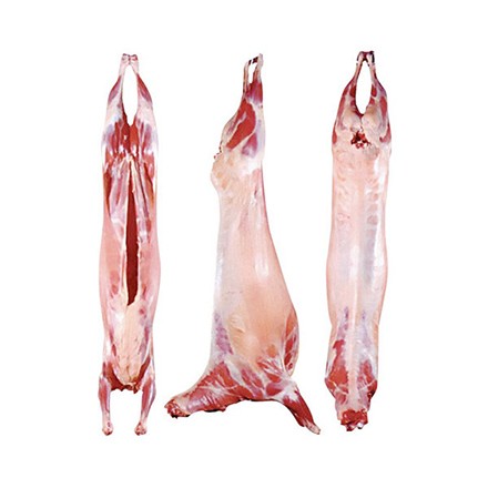LAMB CARCASS