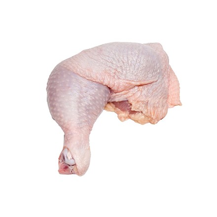 CHICKEN LEG BONE IN