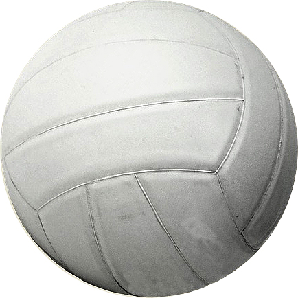 VOLLEY BALL RUBBER