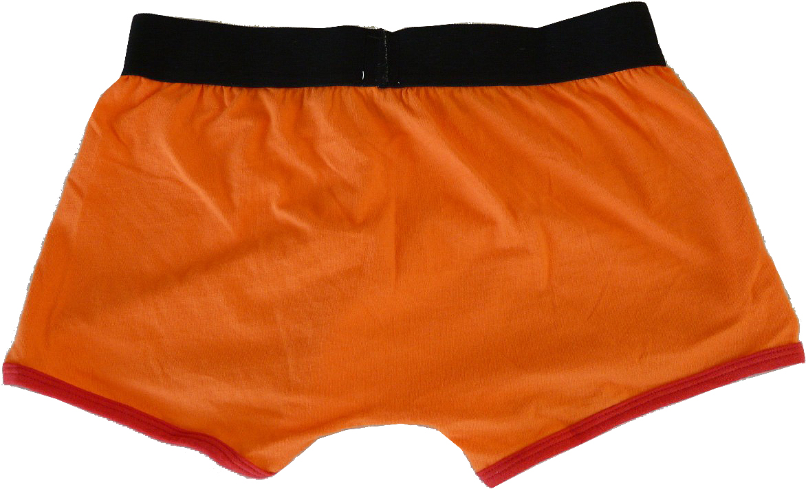 BRIEF COTTON COLORED SIZE-LL