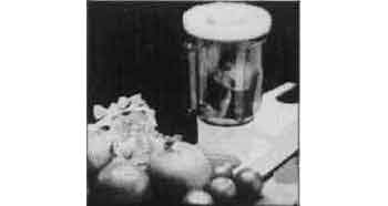 LIQUIDISER FOR COOKING MIXER PORTABLE 7LTR