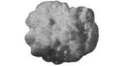 OIL ABSORBENT PELLET IGNEOUS, ROCK NO.2 100LTR (10KG)