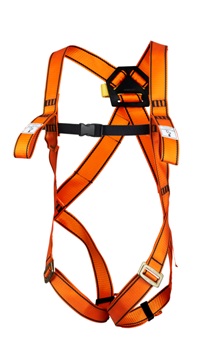 HARNESS PASS-THRU EN, BACK D-RING ATTACH S 1161600(EU)/1161570(US)/1161648(JP)
