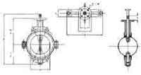 VALVE BUTTERFLY CAST IRON DIN, TEFLON LINED #58 600MM