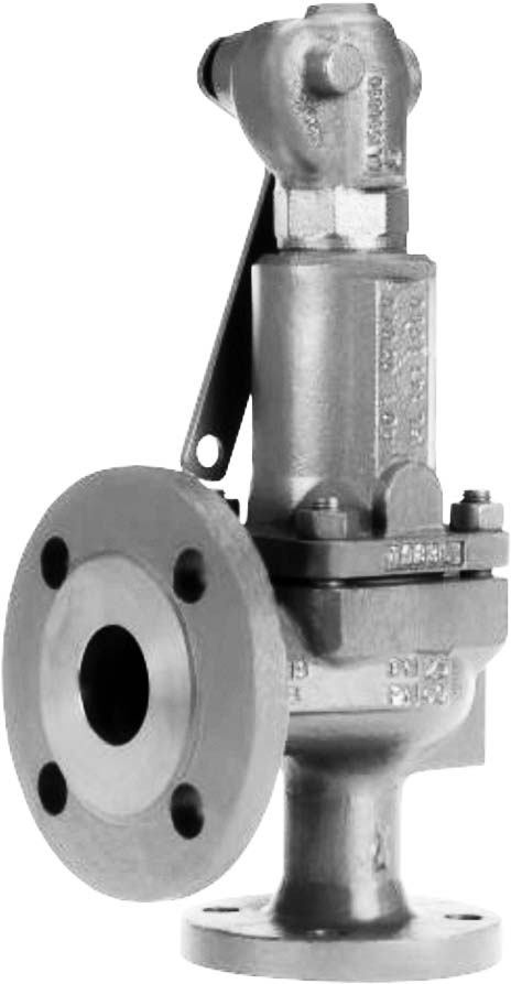 SAFETY VALVE SPRING-LOADED DIN, CAST STEEL ANGLE #567 DN40