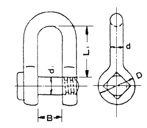 T SHACKLE