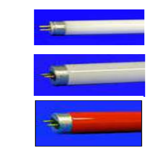 Fluorescent lamps