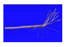 Antenna wire