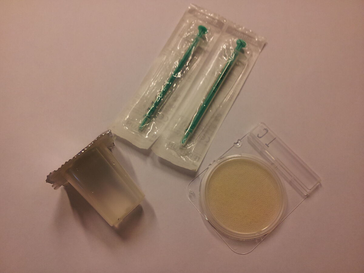 BACTERIA PLATES (20 PCS)